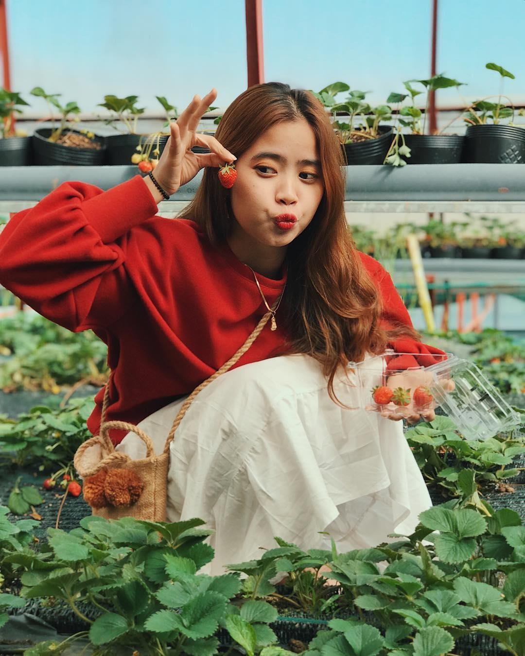 Những khu vườn xinh xắn ở Đà Lạt ảnh 1 Nhung khu vuon xinh xan o Da Lat anh 1