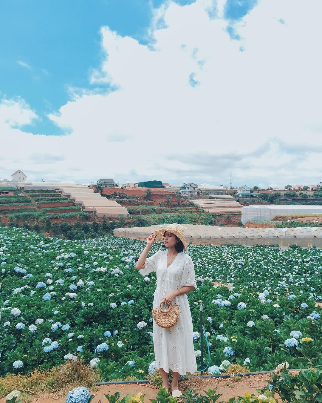 Những khu vườn xinh xắn ở Đà Lạt ảnh 8 Nhung khu vuon xinh xan o Da Lat anh 8