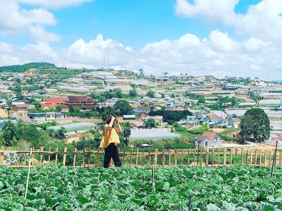 Những khu vườn xinh xắn ở Đà Lạt ảnh 16 Nhung khu vuon xinh xan o Da Lat anh 16