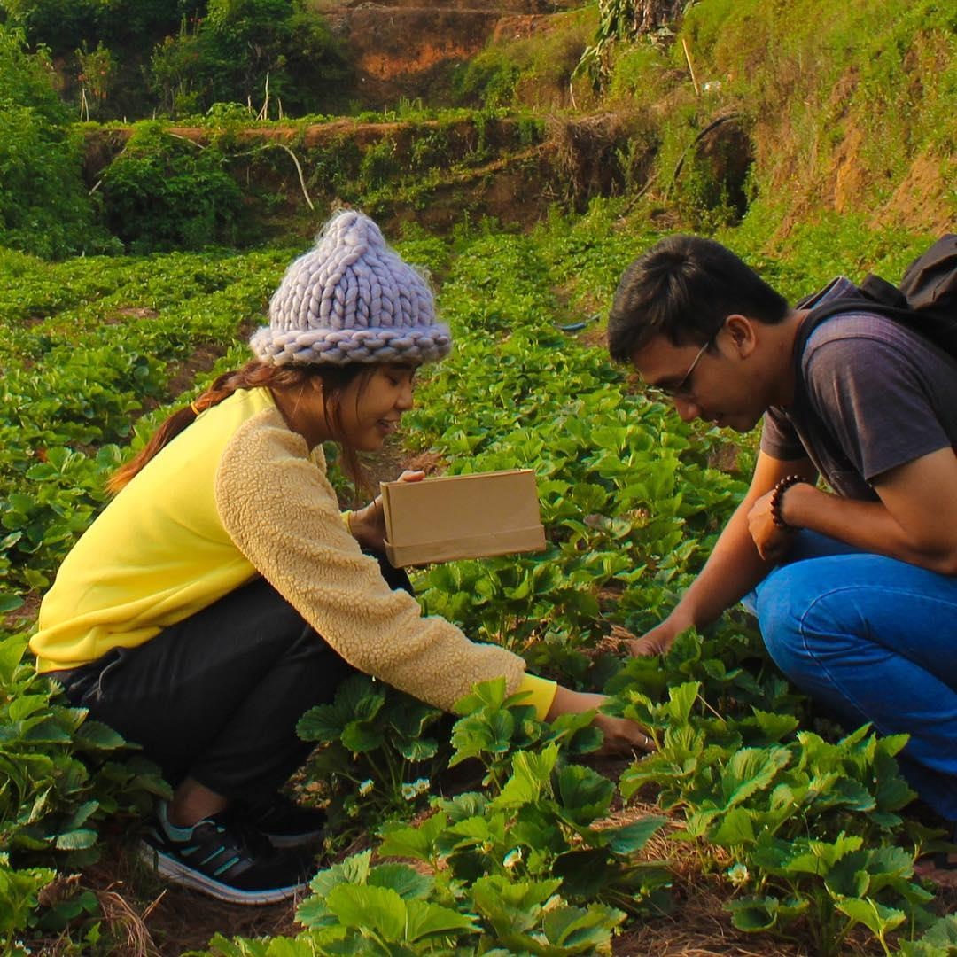 Những khu vườn xinh xắn ở Đà Lạt ảnh 15 Nhung khu vuon xinh xan o Da Lat anh 15