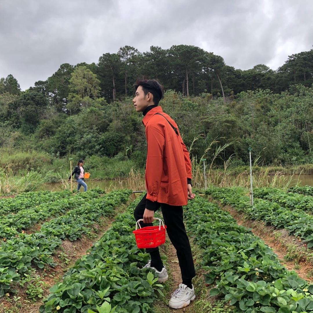 Những khu vườn xinh xắn ở Đà Lạt ảnh 5 Nhung khu vuon xinh xan o Da Lat anh 5