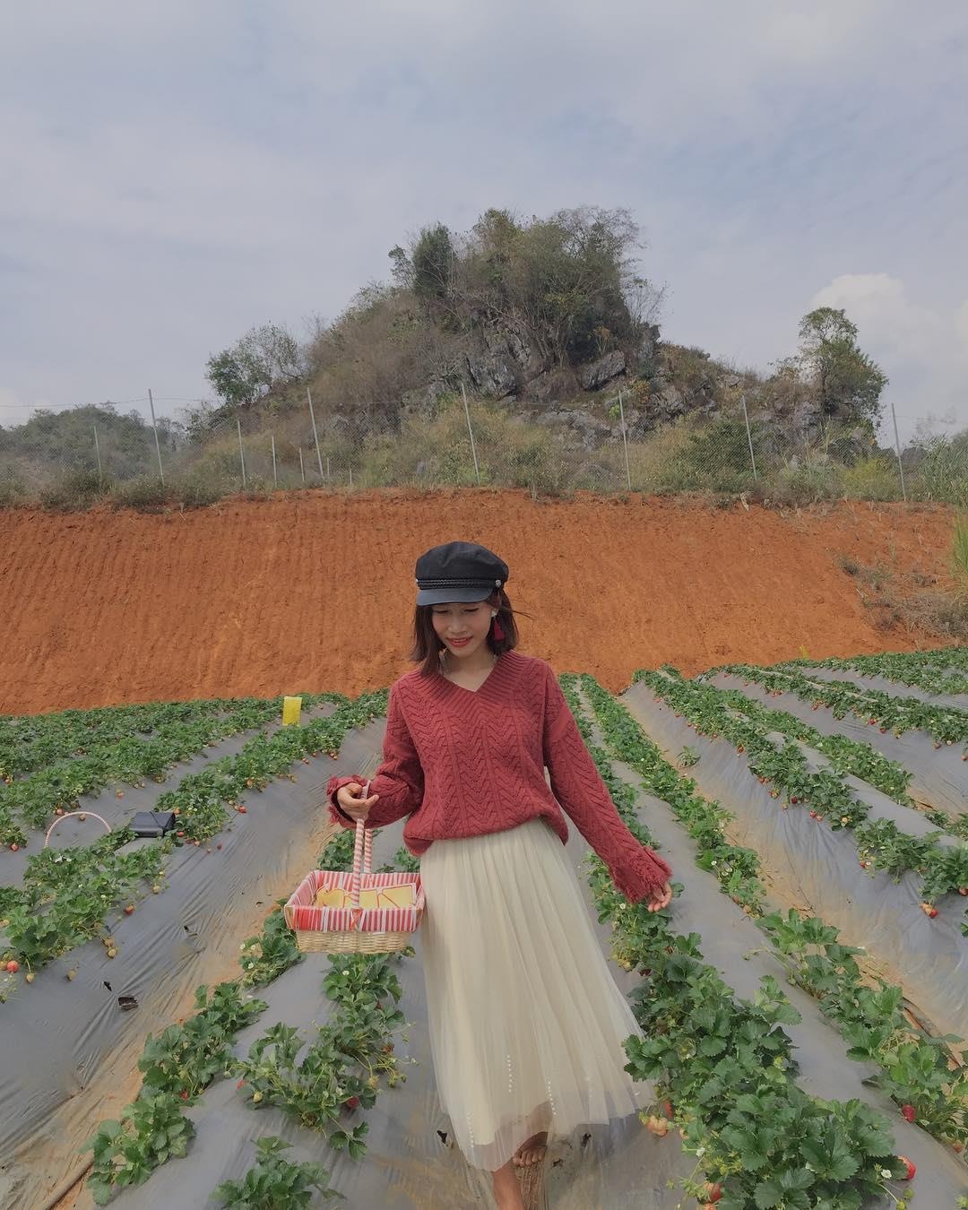 Những khu vườn xinh xắn ở Đà Lạt ảnh 6 Nhung khu vuon xinh xan o Da Lat anh 6