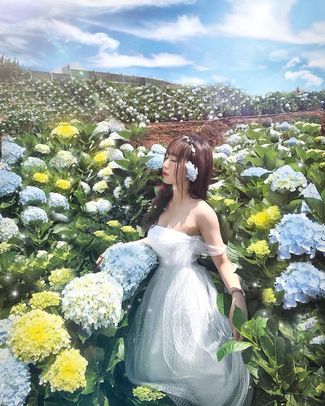 Những khu vườn xinh xắn ở Đà Lạt ảnh 10 Nhung khu vuon xinh xan o Da Lat anh 10