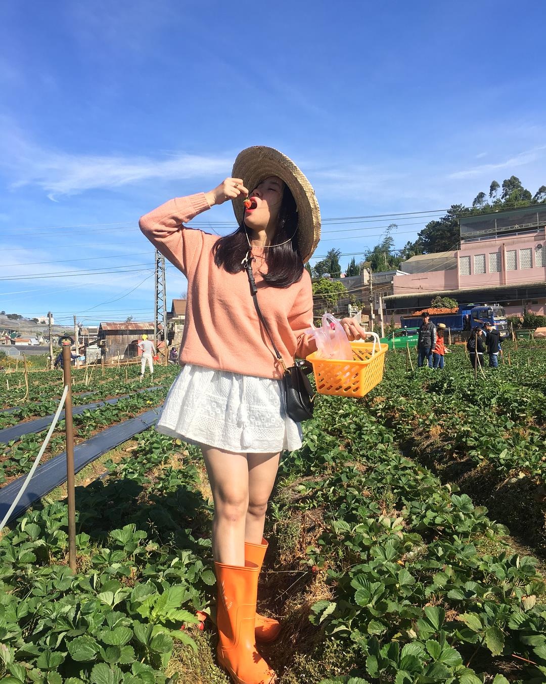 Những khu vườn xinh xắn ở Đà Lạt ảnh 3 Nhung khu vuon xinh xan o Da Lat anh 3