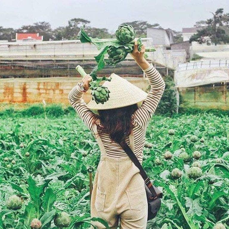 Những khu vườn xinh xắn ở Đà Lạt ảnh 11 Nhung khu vuon xinh xan o Da Lat anh 11