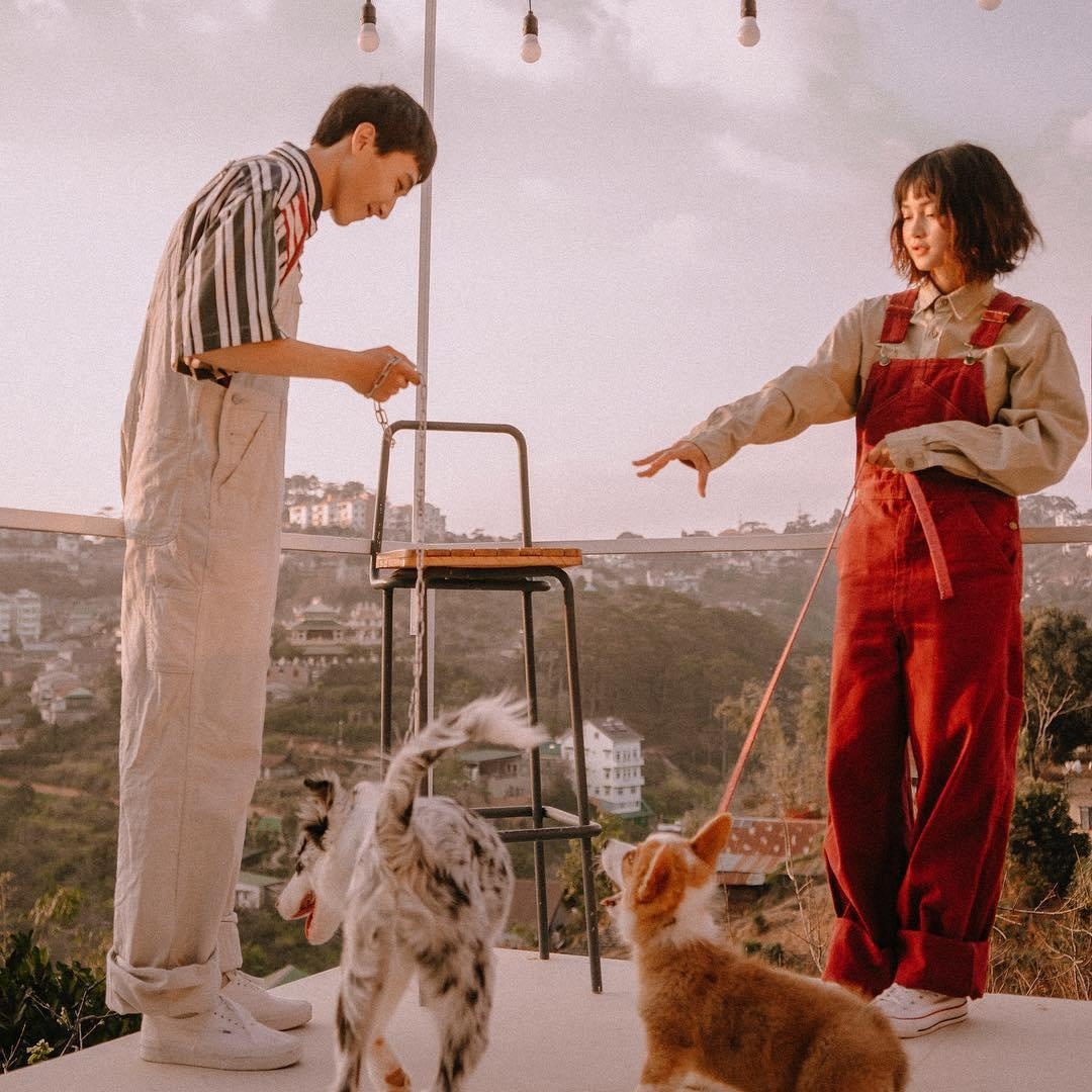 Mô hình cafe homestay ở Đà Lạt thu hút giới trẻ ảnh 6 Mo hinh cafe homestay o Da Lat thu hut gioi tre anh 6