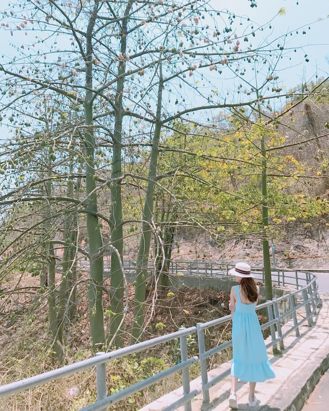 Những địa điểm check-in đẹp ở Vũng Tàu ảnh 2 Nhung dia diem check-in dep o Vung Tau anh 2