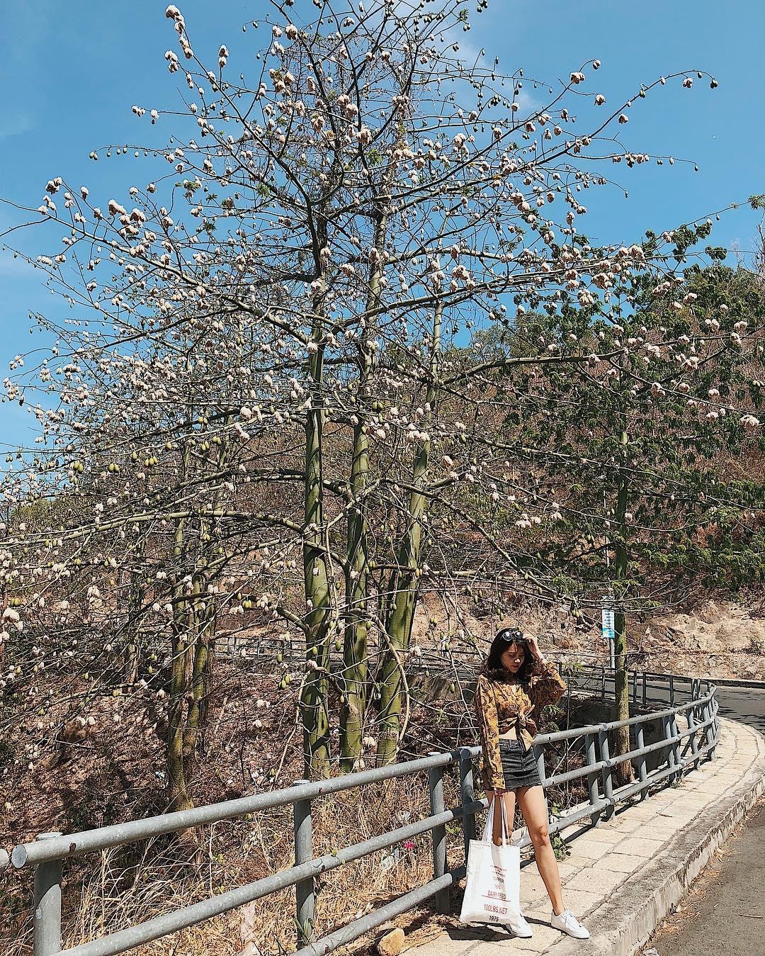 Những địa điểm check-in đẹp ở Vũng Tàu ảnh 3 Nhung dia diem check-in dep o Vung Tau anh 3