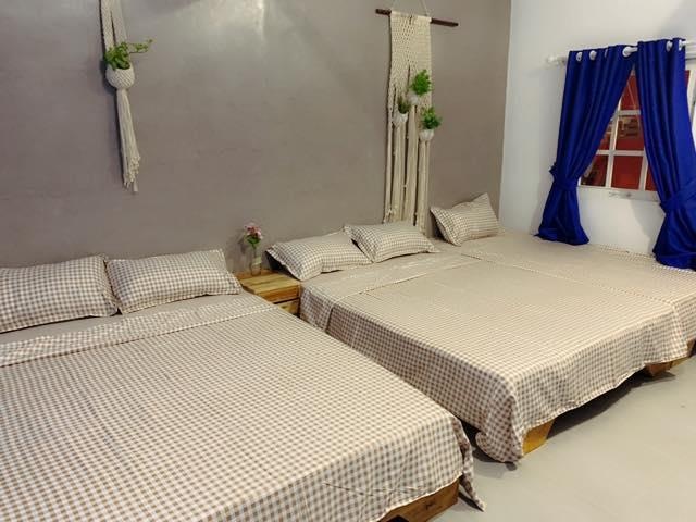 Những homestay đẹp ở Quy Nhơn ảnh 5 Nhung homestay dep o Quy Nhon anh 5