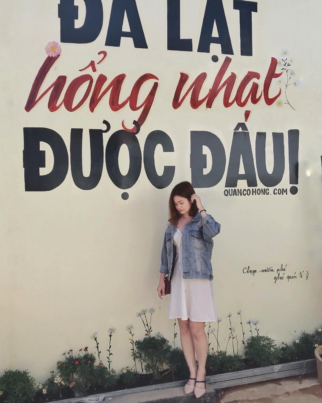 Bức tường sống ảo mới toanh ở Đà Lạt ảnh 6 Buc tuong song ao moi toanh o Da Lat anh 6