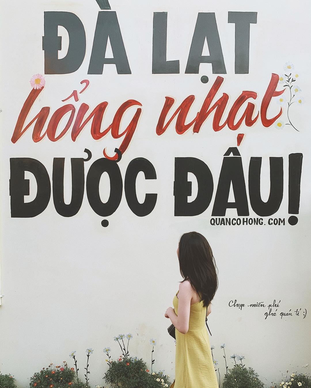 Bức tường sống ảo mới toanh ở Đà Lạt ảnh 2 Buc tuong song ao moi toanh o Da Lat anh 2