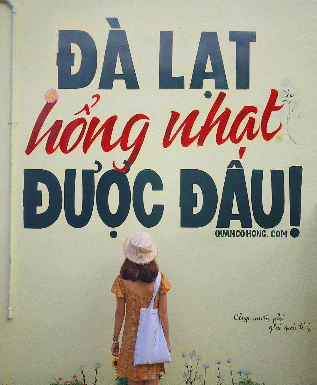 Bức tường sống ảo mới toanh ở Đà Lạt ảnh 1 Buc tuong song ao moi toanh o Da Lat anh 1