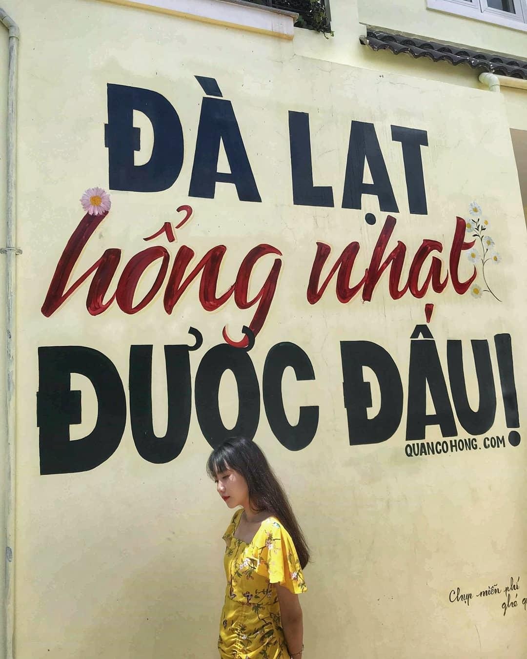 Bức tường sống ảo mới toanh ở Đà Lạt ảnh 5 Buc tuong song ao moi toanh o Da Lat anh 5