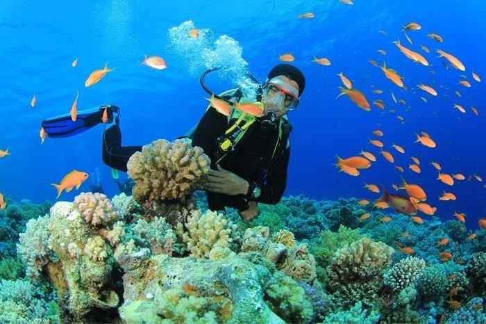 Những trò chơi mạo hiểm hấp dẫn ở Nha Trang ảnh 8 Nhung tro choi mao hiem hap dan o Nha Trang anh 8