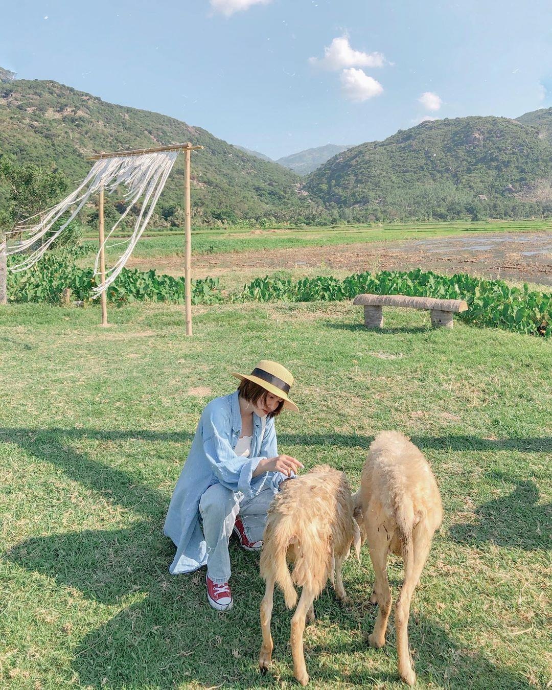 Đảo Bình Hưng tuyệt đẹp qua ảnh check-in ảnh 12 Dao Binh Hung tuyet dep qua anh check-in anh 12