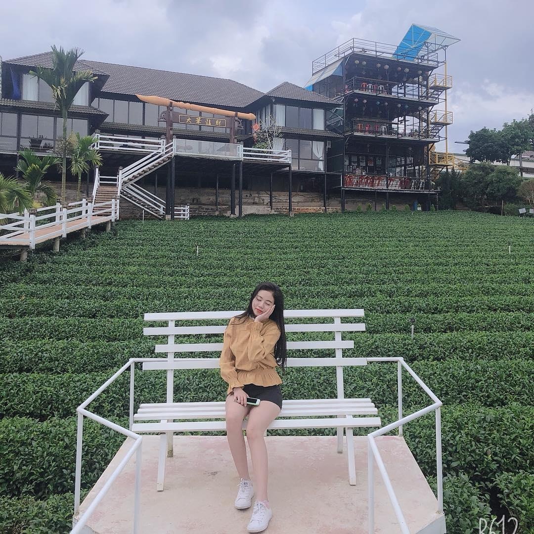 Lâm Đồng xuất hiện 'ốc đảo chè' xanh rì tuyệt đẹp  ảnh 6 Lam Dong xuat hien 'oc dao che' xanh ri tuyet dep anh 6