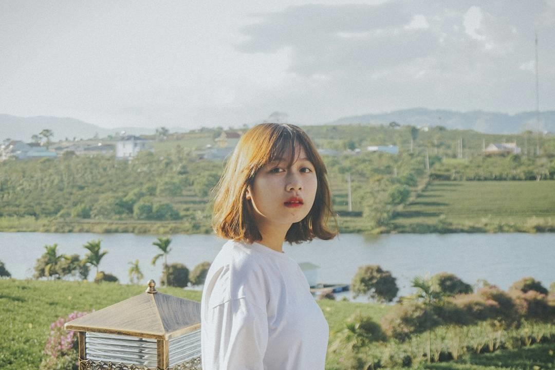 Lâm Đồng xuất hiện 'ốc đảo chè' xanh rì tuyệt đẹp  ảnh 13 Lam Dong xuat hien 'oc dao che' xanh ri tuyet dep anh 13