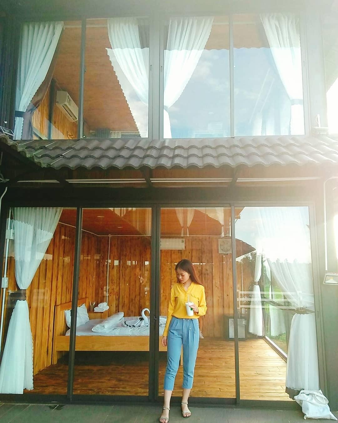 Lâm Đồng xuất hiện 'ốc đảo chè' xanh rì tuyệt đẹp  ảnh 9 Lam Dong xuat hien 'oc dao che' xanh ri tuyet dep anh 9