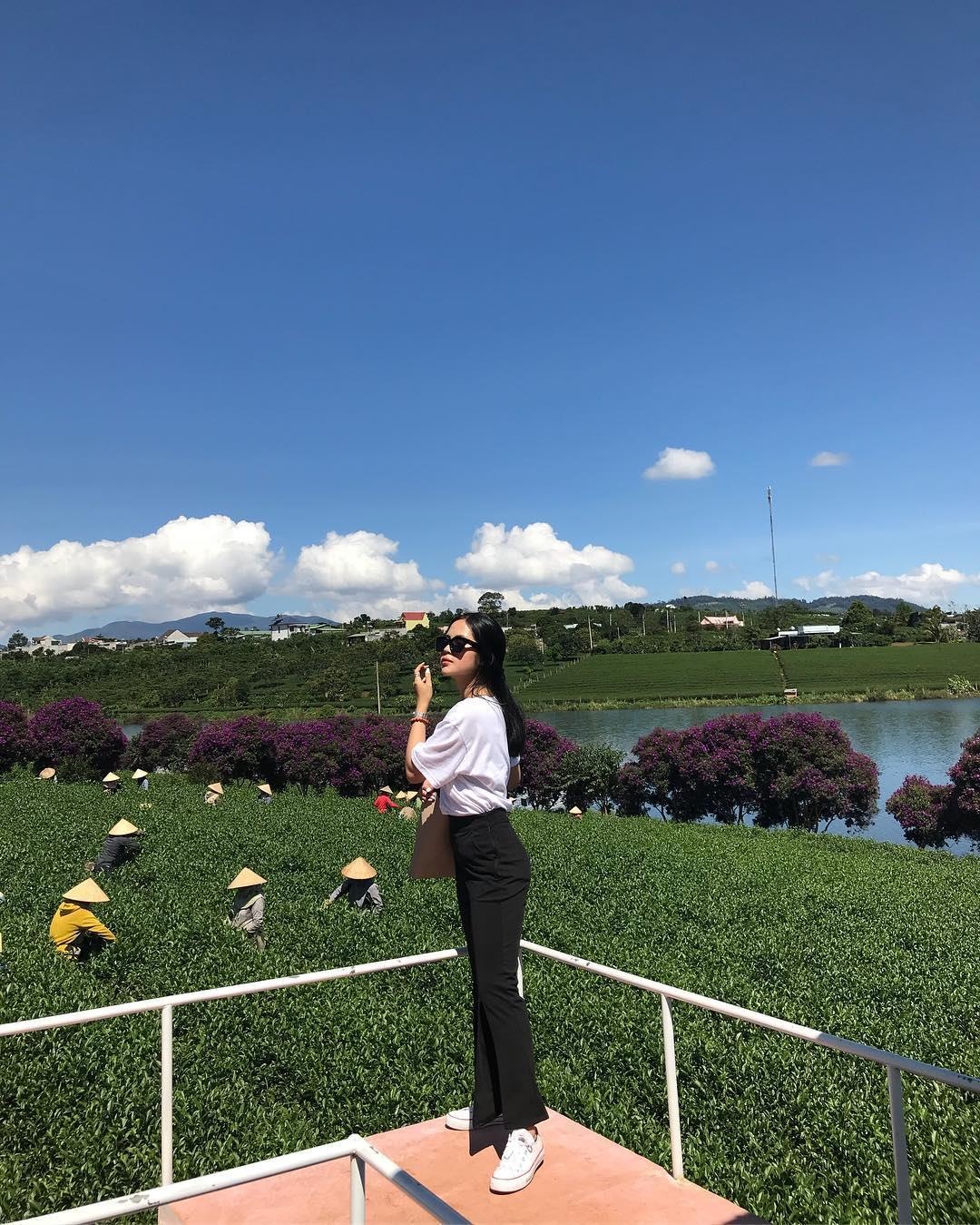 Lâm Đồng xuất hiện 'ốc đảo chè' xanh rì tuyệt đẹp  ảnh 2 Lam Dong xuat hien 'oc dao che' xanh ri tuyet dep anh 2