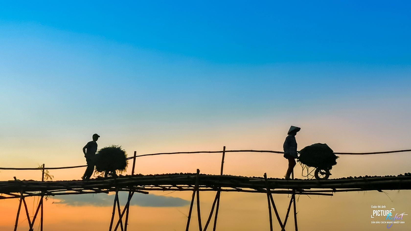 Picture Perfect anh 1