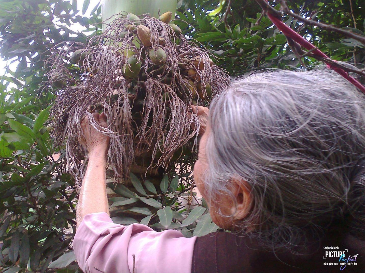 Picture Perfect anh 10