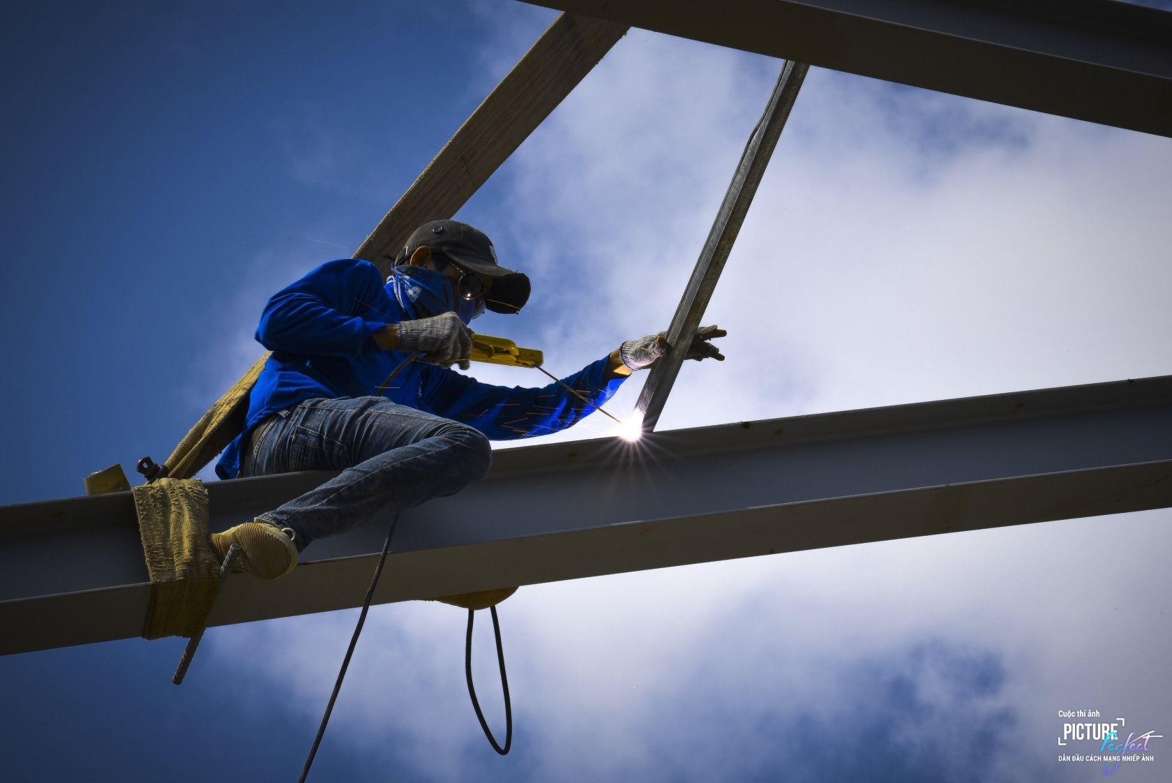 Picture Perfect anh 2