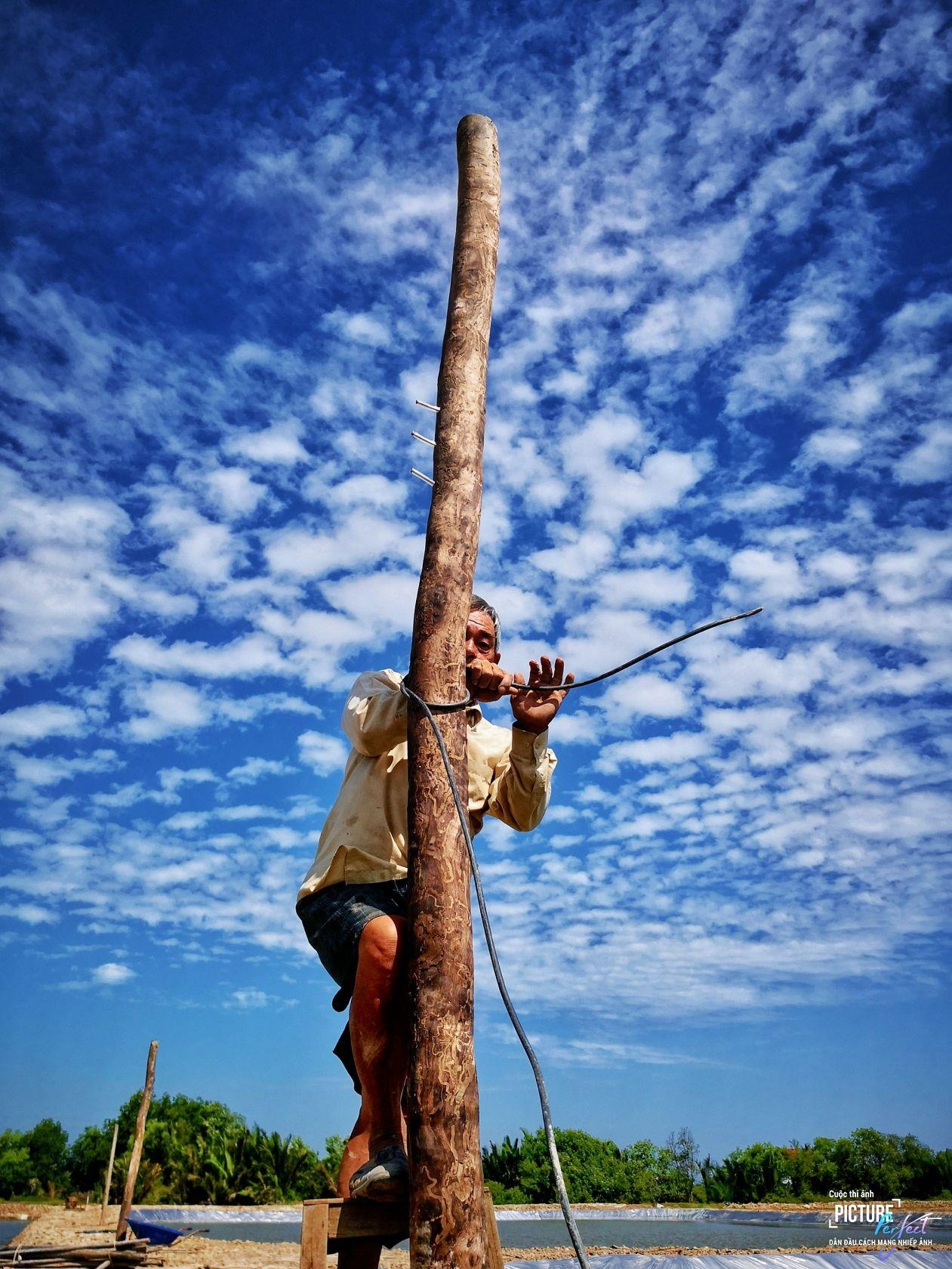 Picture Perfect anh 7