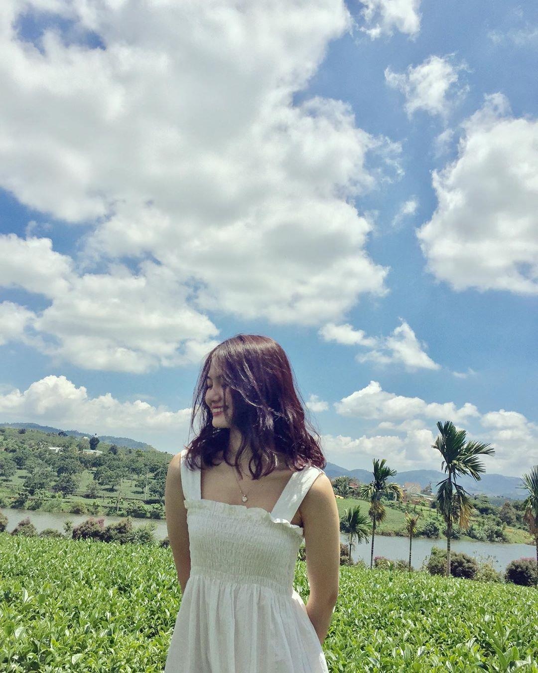 Lâm Đồng xuất hiện 'ốc đảo chè' xanh rì tuyệt đẹp  ảnh 1 Lam Dong xuat hien 'oc dao che' xanh ri tuyet dep anh 1