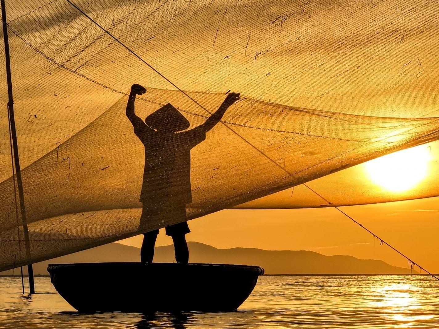 Khoanh khac buoi sang tinh mo o do thi, vung que Viet Nam hinh anh