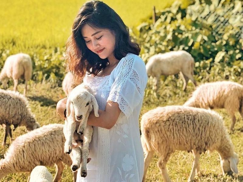 Check-in lien tay dong cuu Suoi Tien moi toanh 'sat vach' Ninh Thuan hinh anh