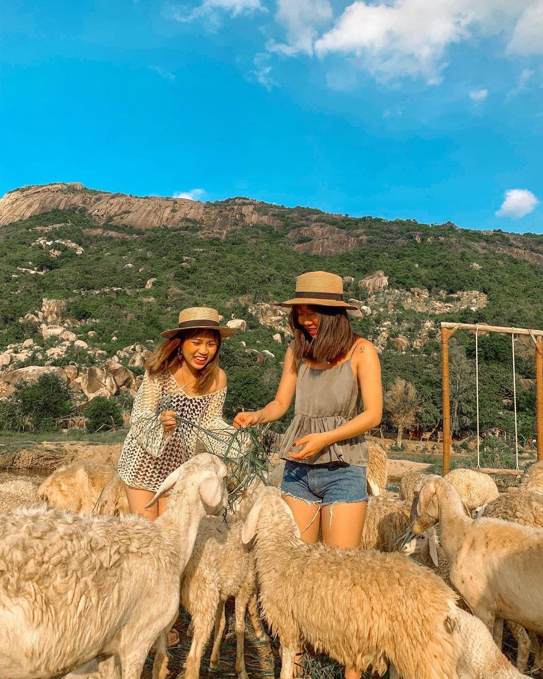 Dong cuu Suoi Tien moi toanh o gan Ninh Thuan anh 4