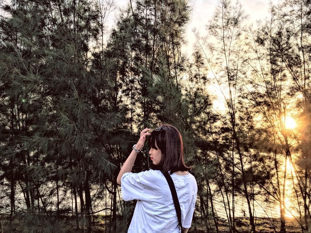 Những địa điểm đẹp ở Thái Bình ảnh 2 Nhung dia diem dep o Thai Binh anh 2