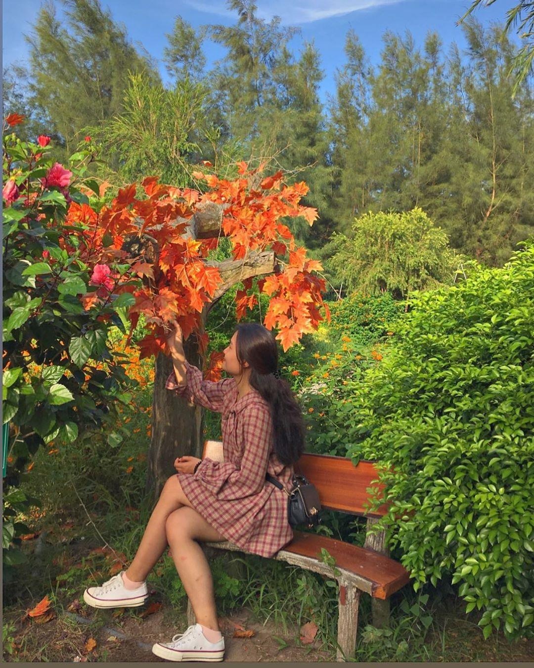 Những địa điểm đẹp ở Thái Bình ảnh 8 Nhung dia diem dep o Thai Binh anh 8