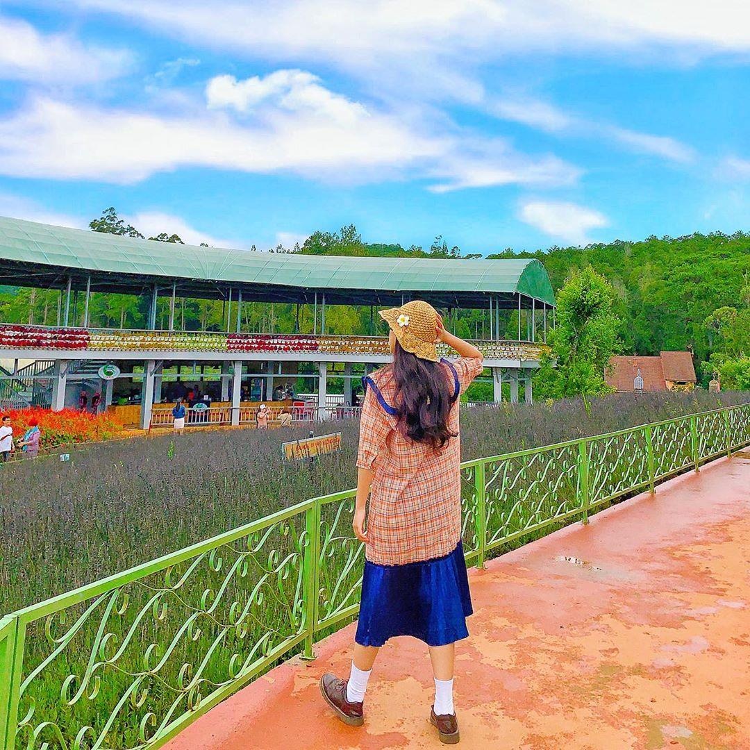 Vuon hoa Chau Au o Da Lat anh 5