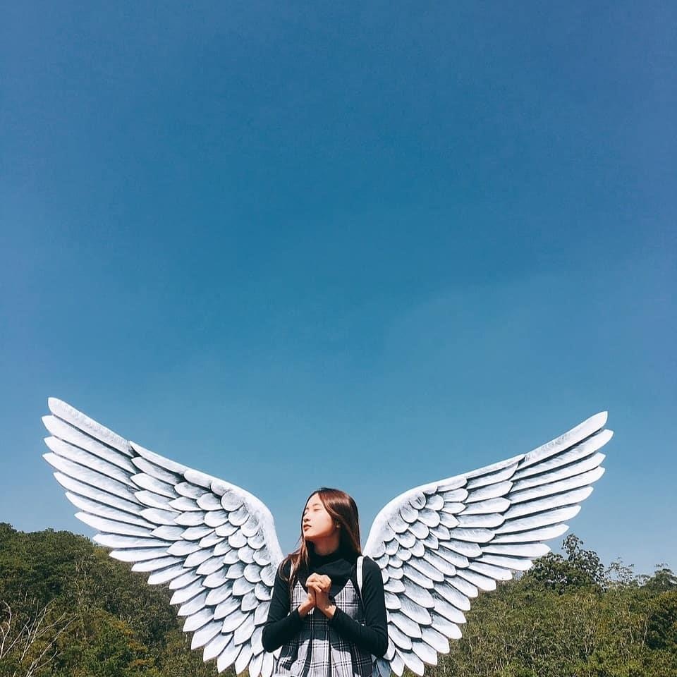 Vuon hoa Chau Au o Da Lat anh 9