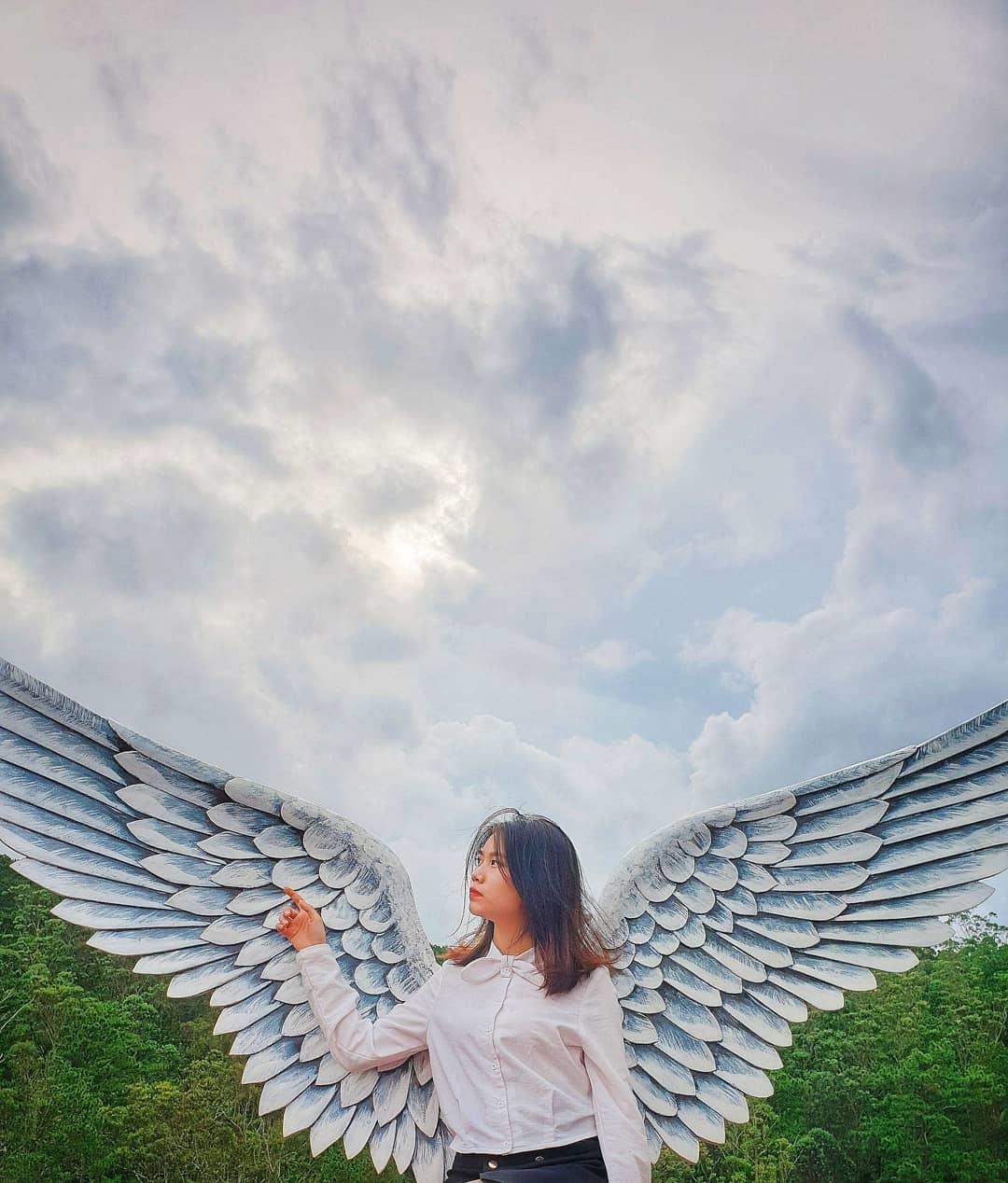 Vuon hoa Chau Au o Da Lat anh 10