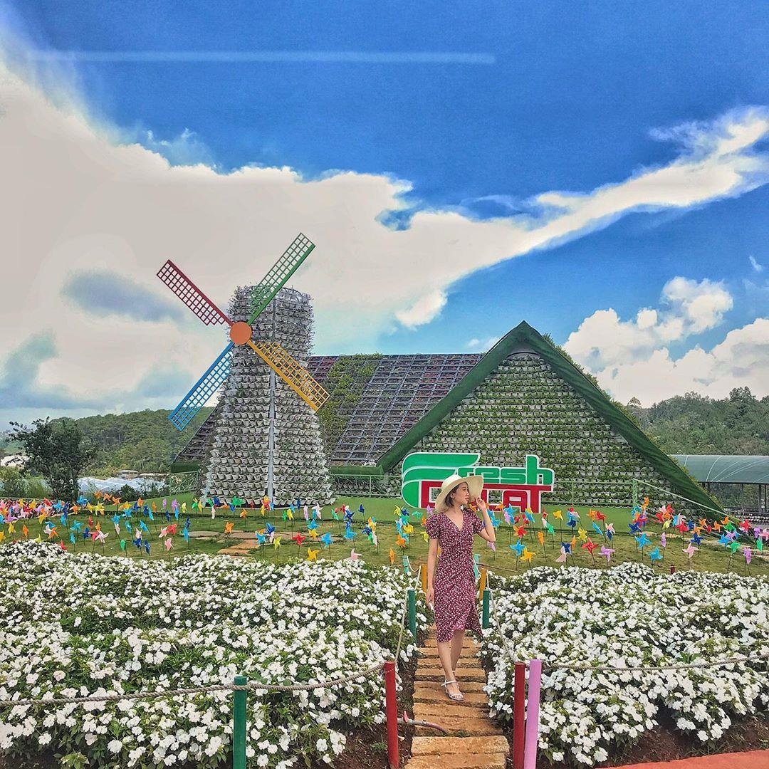 Vuon hoa Chau Au o Da Lat anh 2