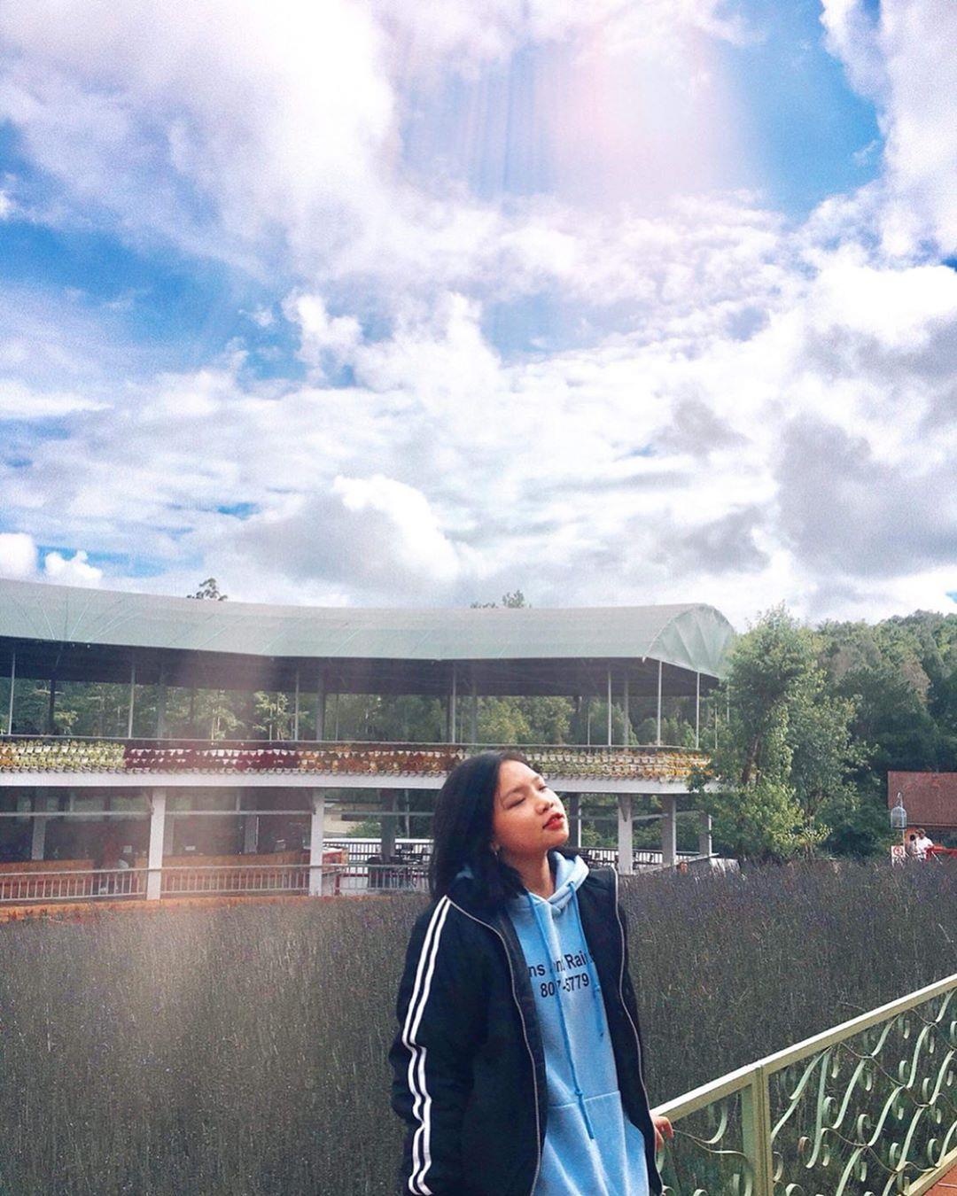 Vuon hoa Chau Au o Da Lat anh 6