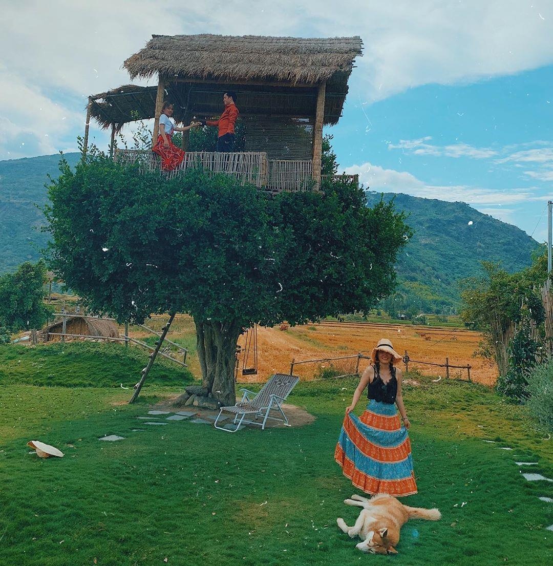 Ninh Thuan ve dep co xua va hien dai anh 14