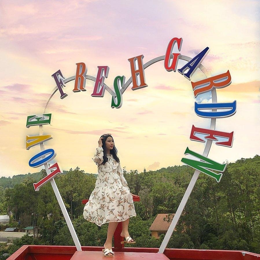 Vuon hoa Chau Au o Da Lat anh 12