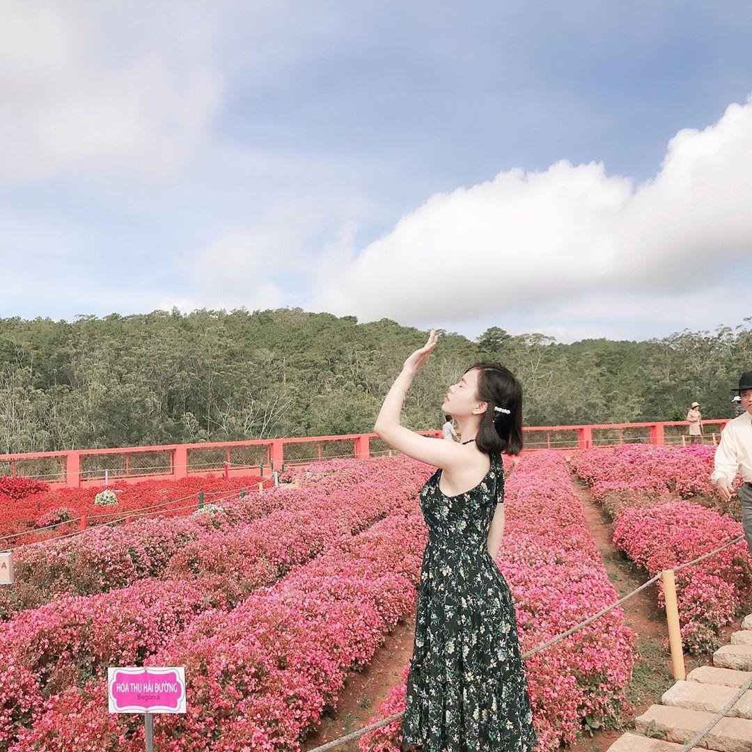 Vuon hoa Chau Au o Da Lat anh 14