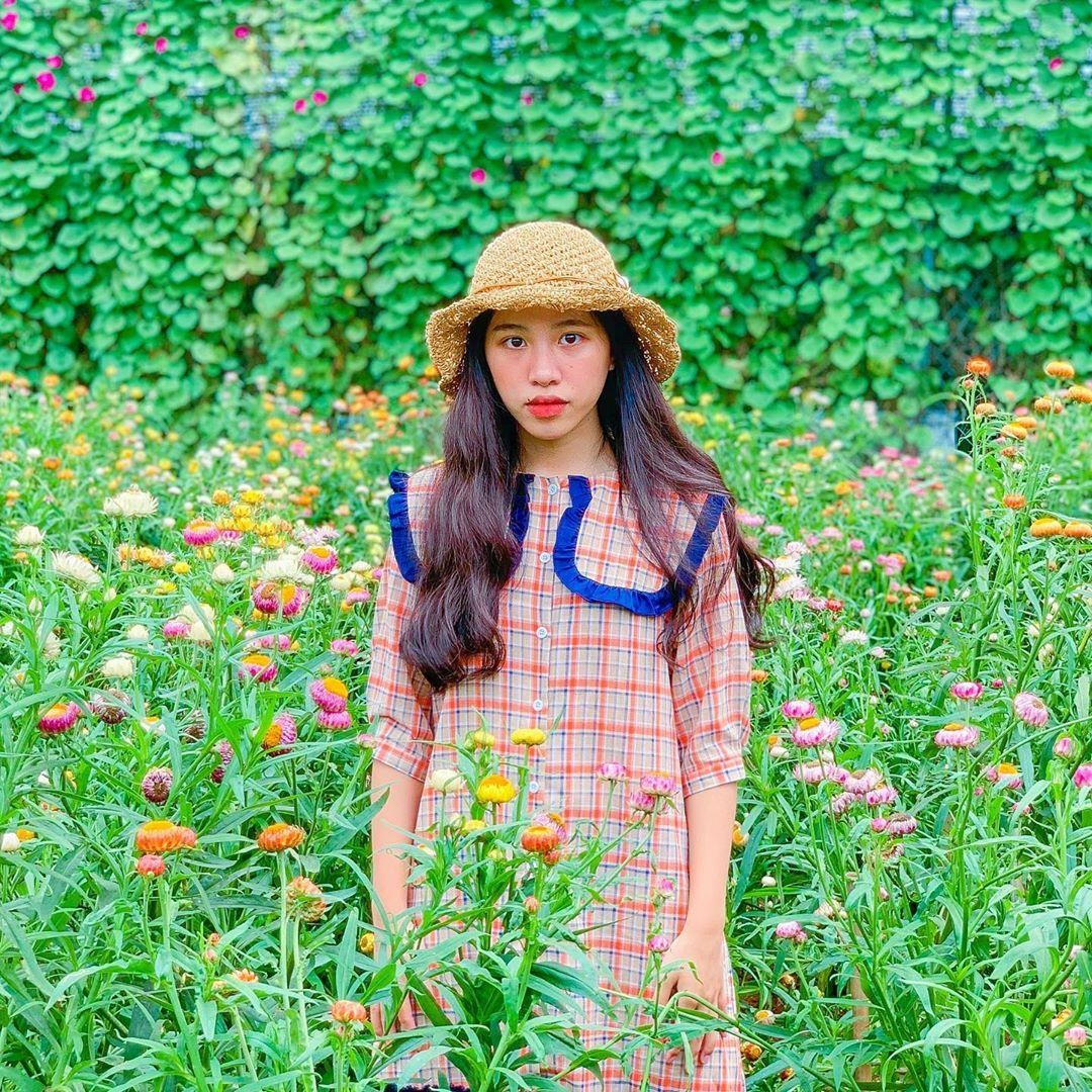 Vuon hoa Chau Au o Da Lat anh 16