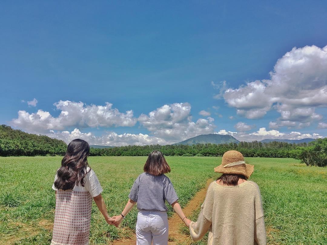 Trang trai bo sua o Da  thu hut gioi tre check-in anh 11