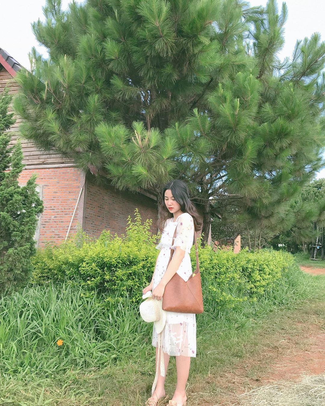 Trang trai bo sua o Da  thu hut gioi tre check-in anh 5