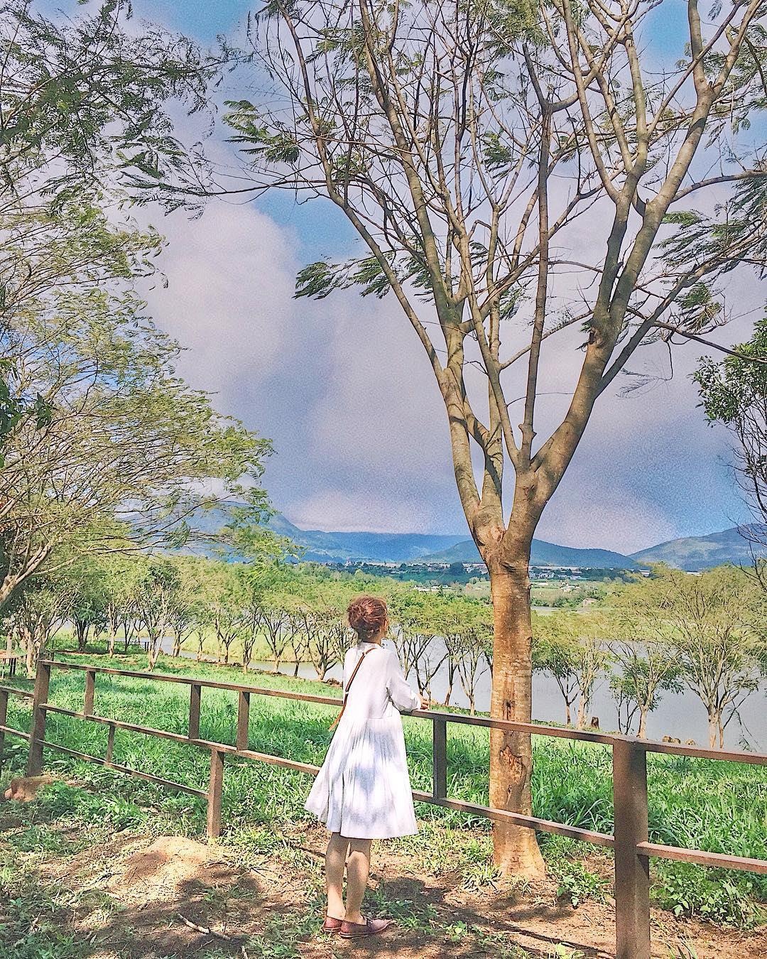 Trang trai bo sua o Da  thu hut gioi tre check-in anh 7