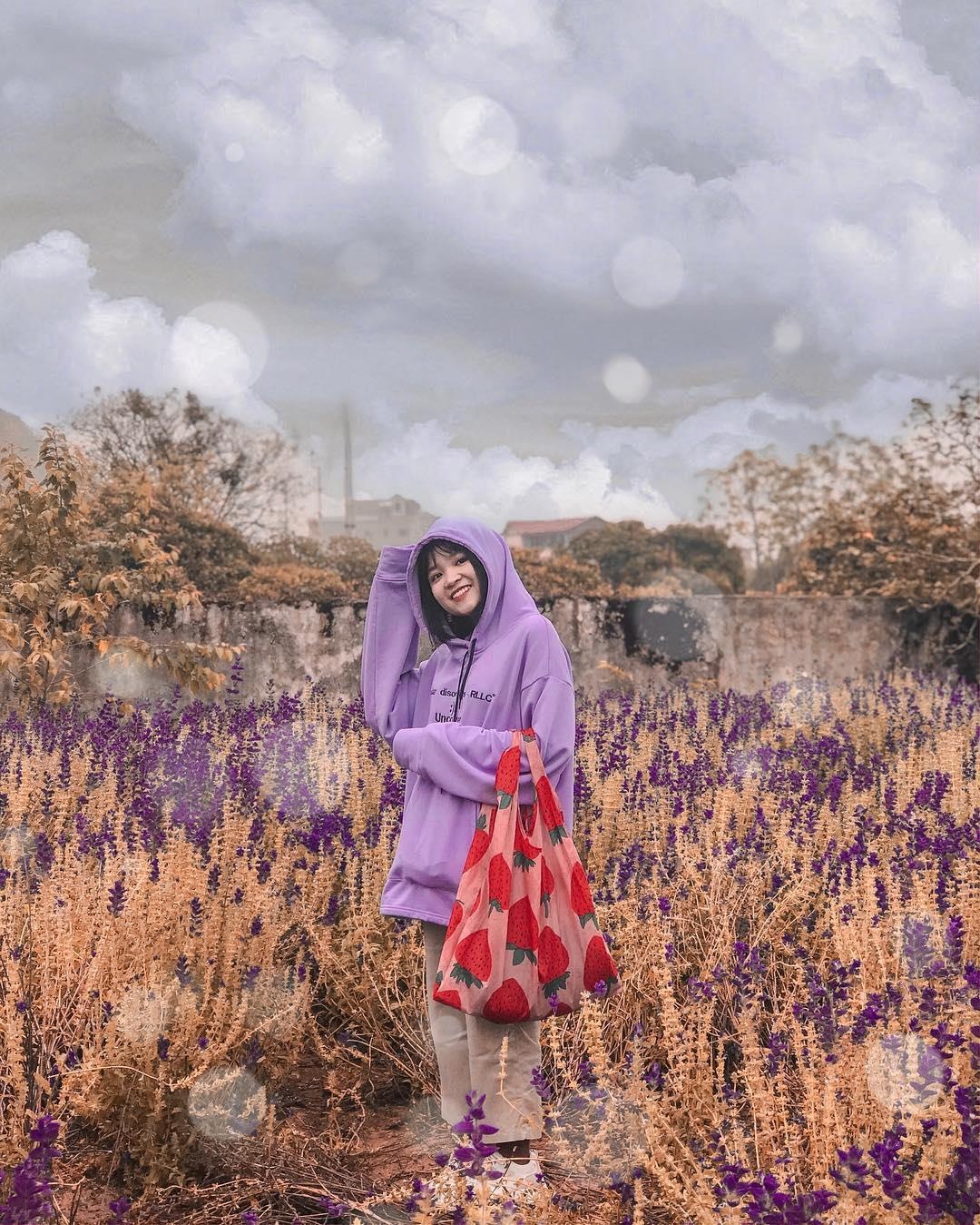 Trang trại bò sữa ở Mộc Châu ảnh 8 Trang trai bo sua o Moc Chau anh 8