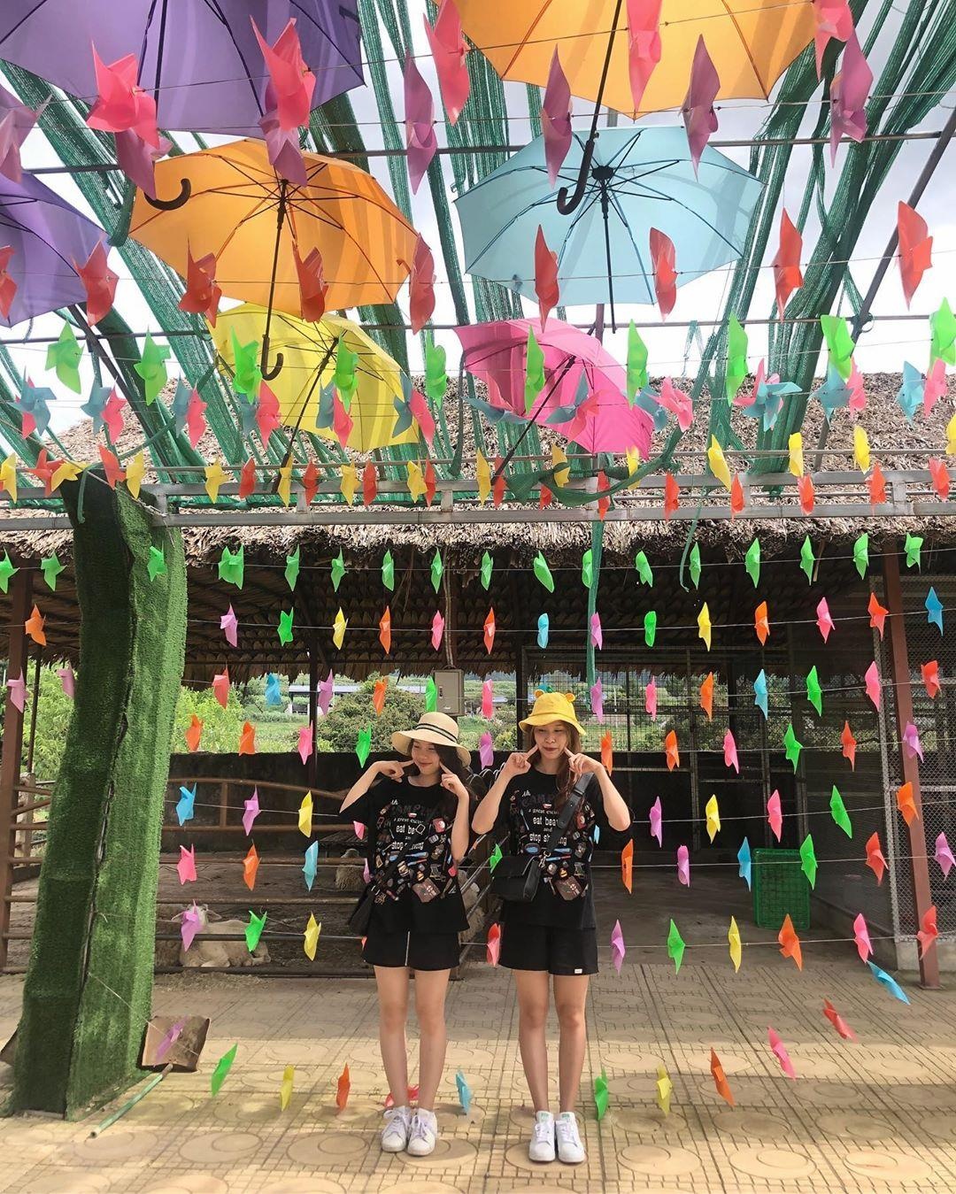 Trang trại bò sữa ở Mộc Châu ảnh 2 Trang trai bo sua o Moc Chau anh 2