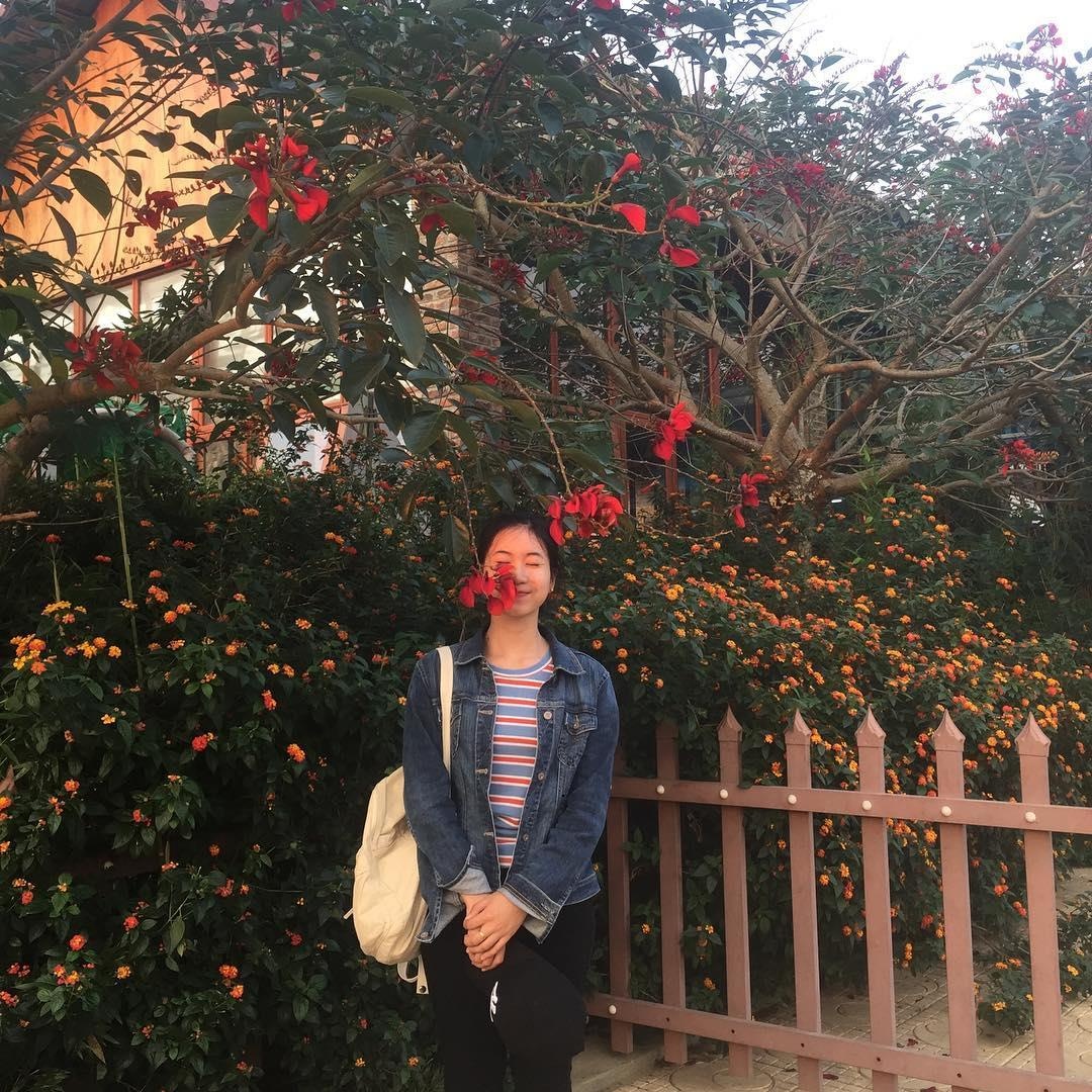 Trang trại bò sữa ở Mộc Châu ảnh 13 Trang trai bo sua o Moc Chau anh 13