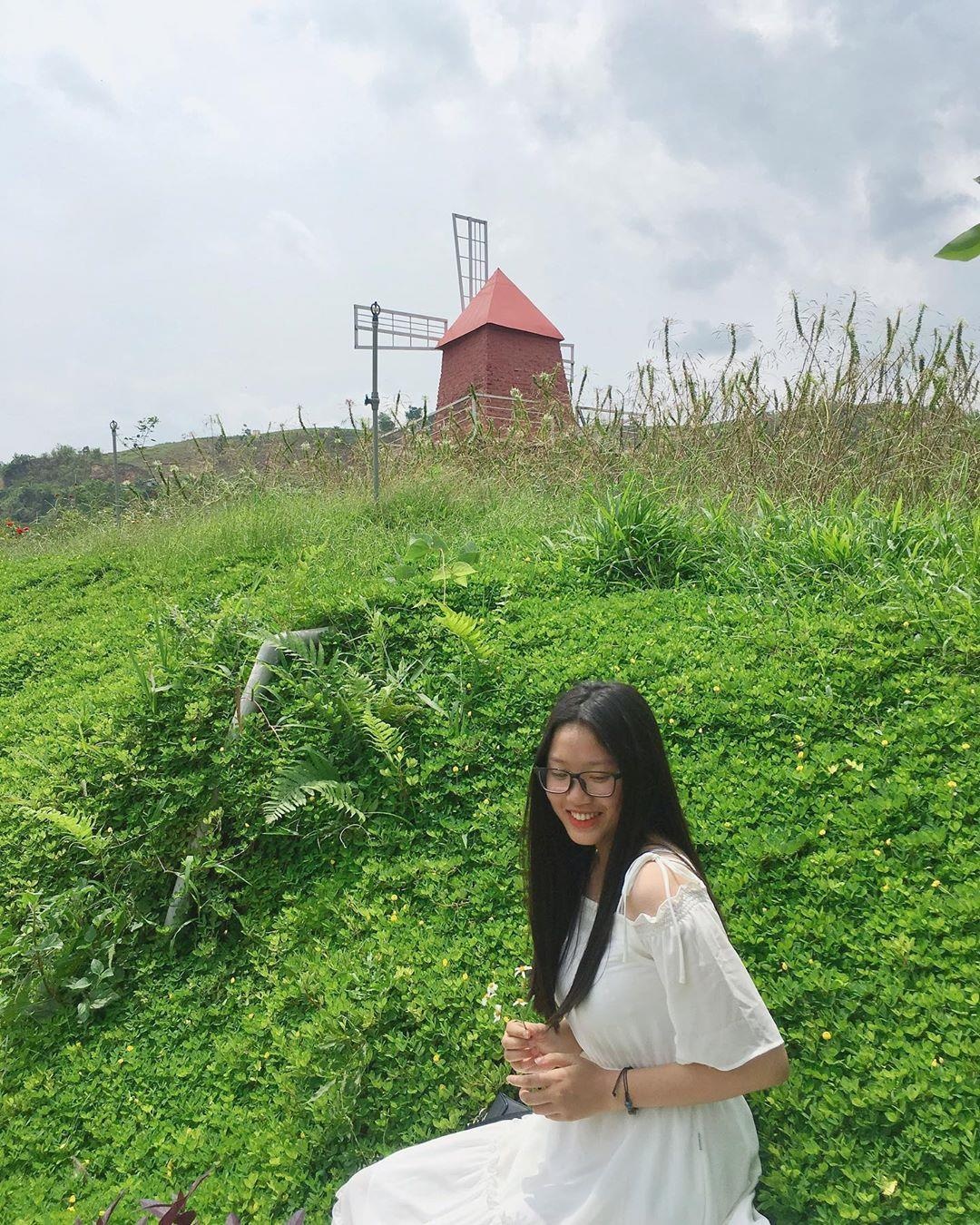 Trang trại bò sữa ở Mộc Châu ảnh 14 Trang trai bo sua o Moc Chau anh 14