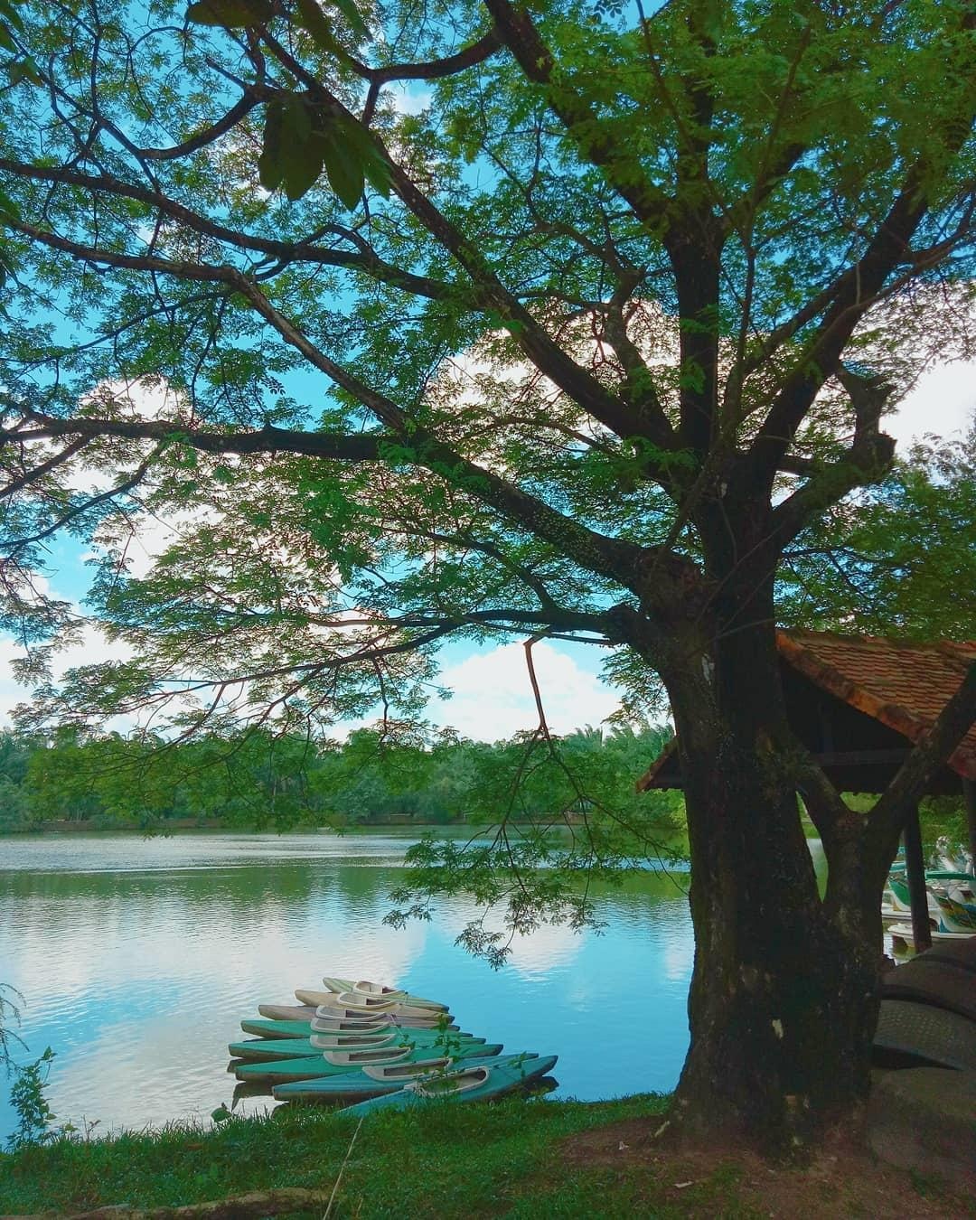 Những điểm du lịch trong ngày ở Đồng Nai  ảnh 15 Nhung diem du lich trong ngay o Dong Nai anh 15